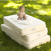 Organic Crib Mattress