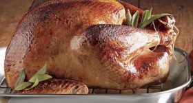 turkey featured image turkey featured image