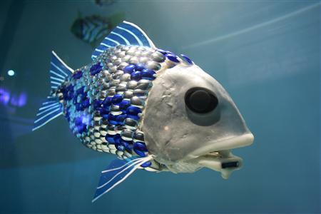 robotfish2