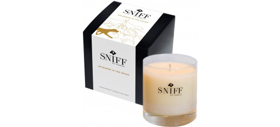 sniff_pet_candle