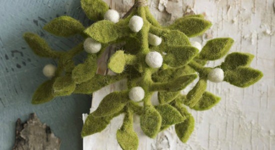 roostfeltmistletoe