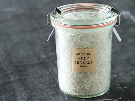 salt_445